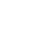 smartphone
