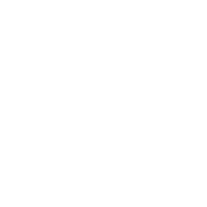 smartphone